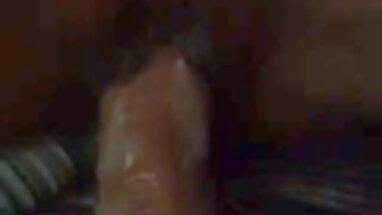 Seksi Tay